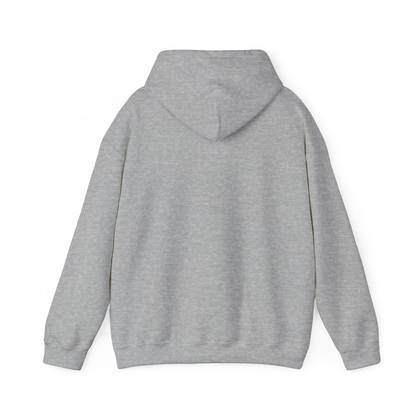 I Think I Rode Alien Attack Unisex Hoodie