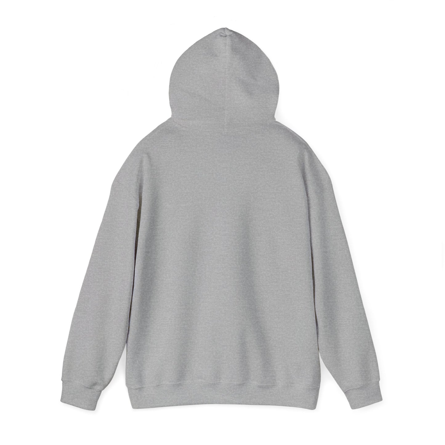 I Think I Rode Alien Attack Unisex Hoodie