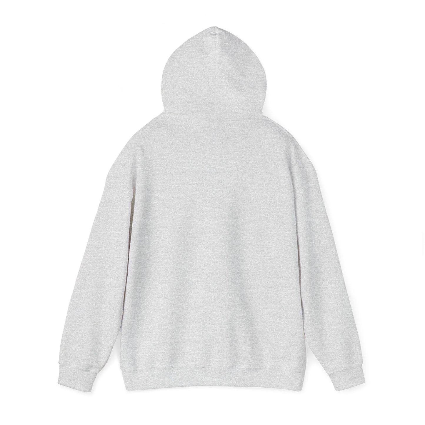 I Think I Rode Alien Attack Unisex Hoodie